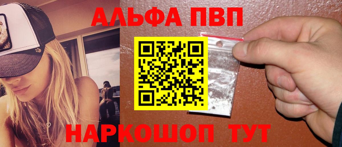 Альфа ПВП СК КРИС Элиста