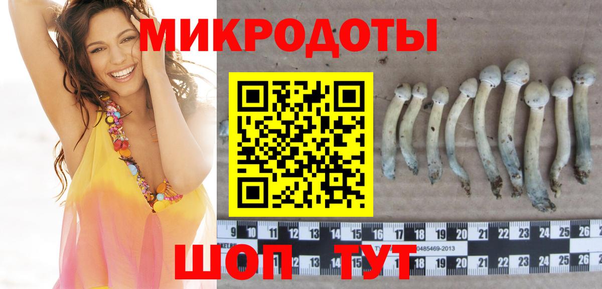 Псилоцибиновые грибы Psilocybe  Вход с VPN  Элиста 